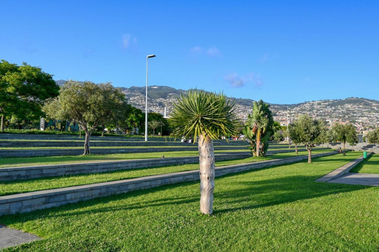 Beco Santa Emilia 3m, A In Madeira * Funchal (Madeira)